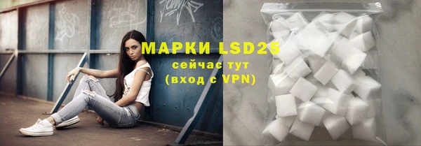 шишки Белоозёрский