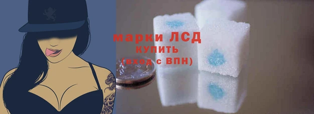 дживик Белокуриха