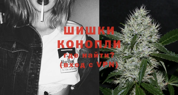 дживик Белокуриха
