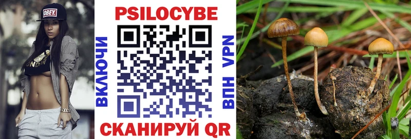 Галлюциногенные грибы MAGIC MUSHROOMS  Краснозаводск 