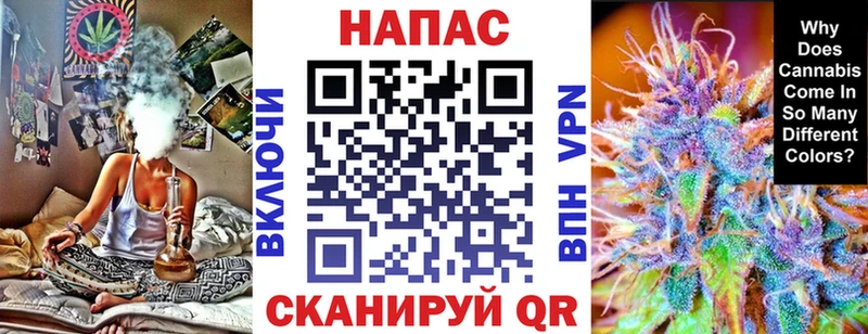 Бошки марихуана сатива  Краснозаводск 